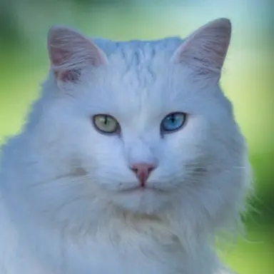 Profile image of 우유