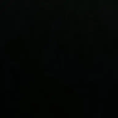 Profile image of 이용복