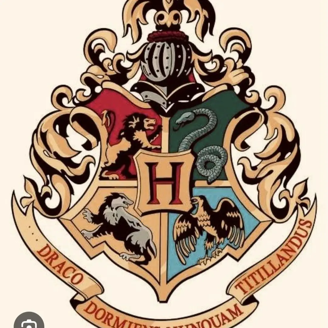 Darknight2014의 Harry potter but there's a pick me