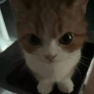 Profile image of 이시후