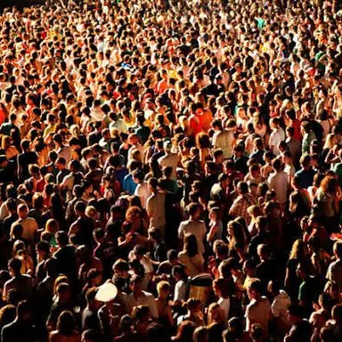 Profile image of The Audience