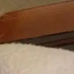 Profile image of Anton