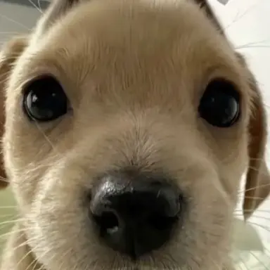 Profile image of 도운