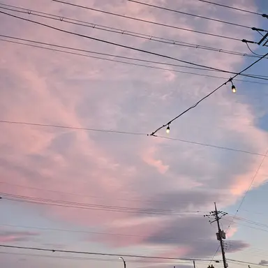 Profile image of 원필