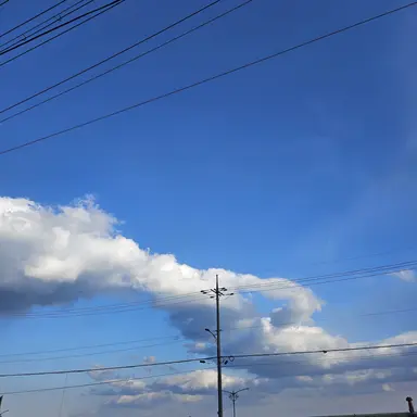 Profile image of 영현