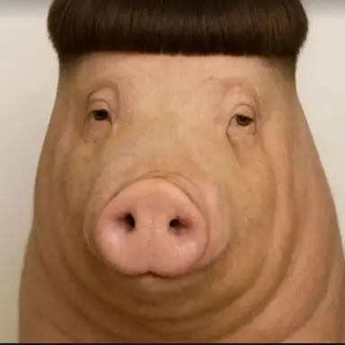 Profile image of 김찐따