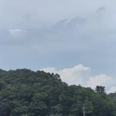 Profile image of 봉근대