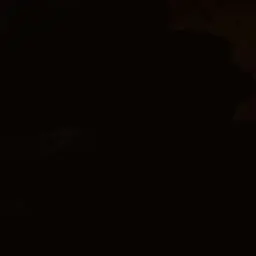 Profile image of 유저