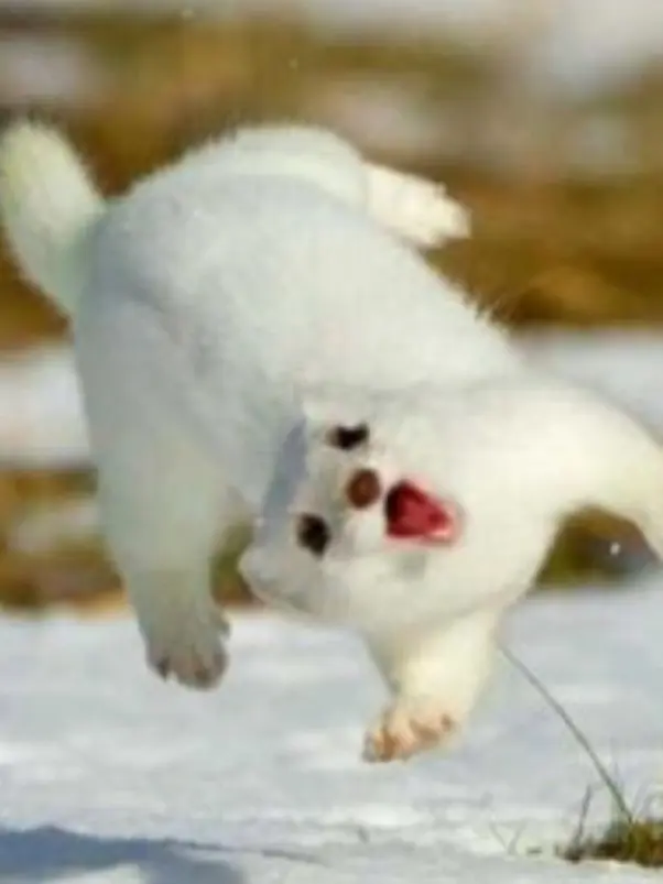 MuggyTree6262의 최지우