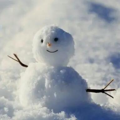 Profile image of 공룡