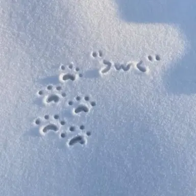 Profile image of 덕개