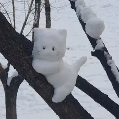 Profile image of 라더