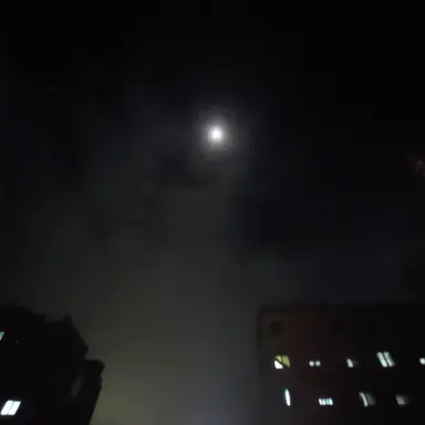 Profile image of 한가온