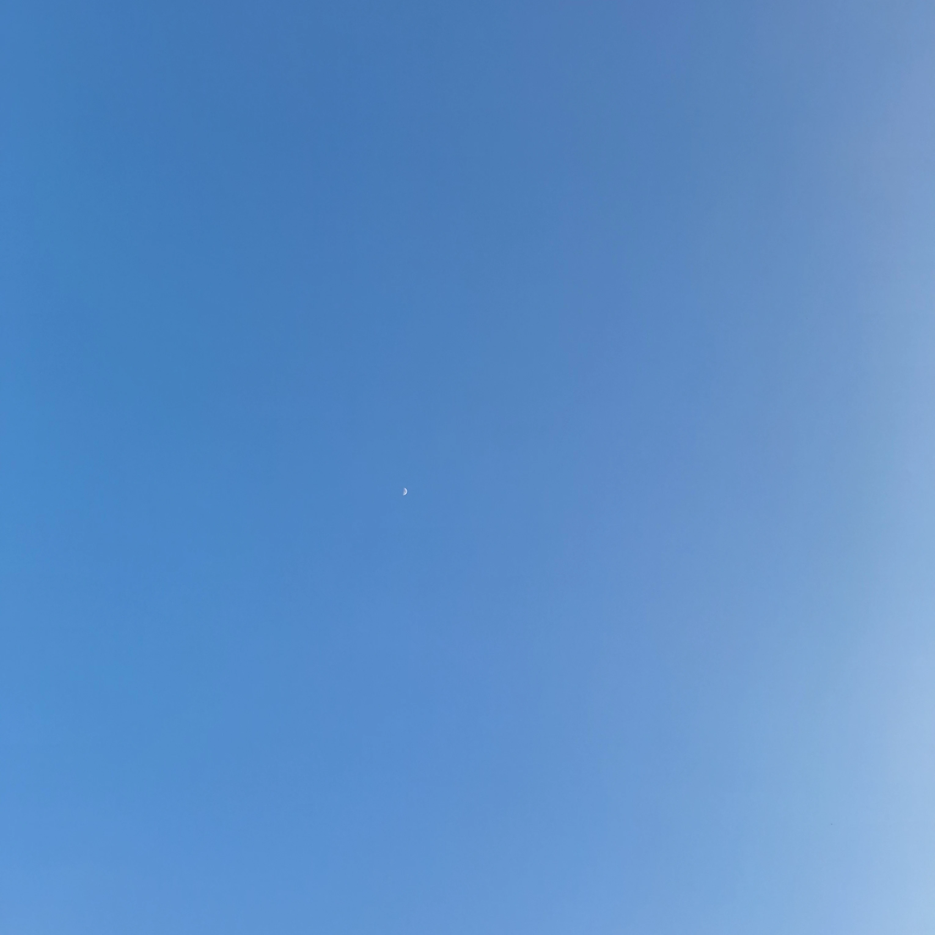 릴파