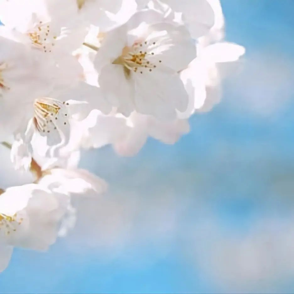 likeBerry의 [GL] 비밀의 수인 기숙사