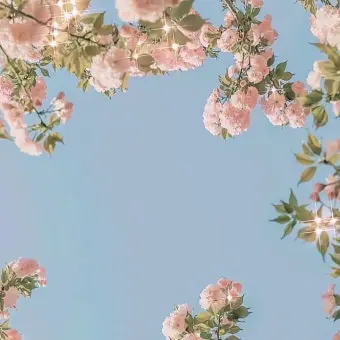 Profile image of 류이서