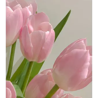 Profile image of 서아윤