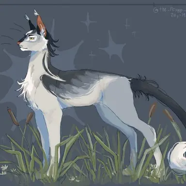 Profile image of 윈터스타