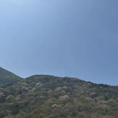 Profile image of 하루토