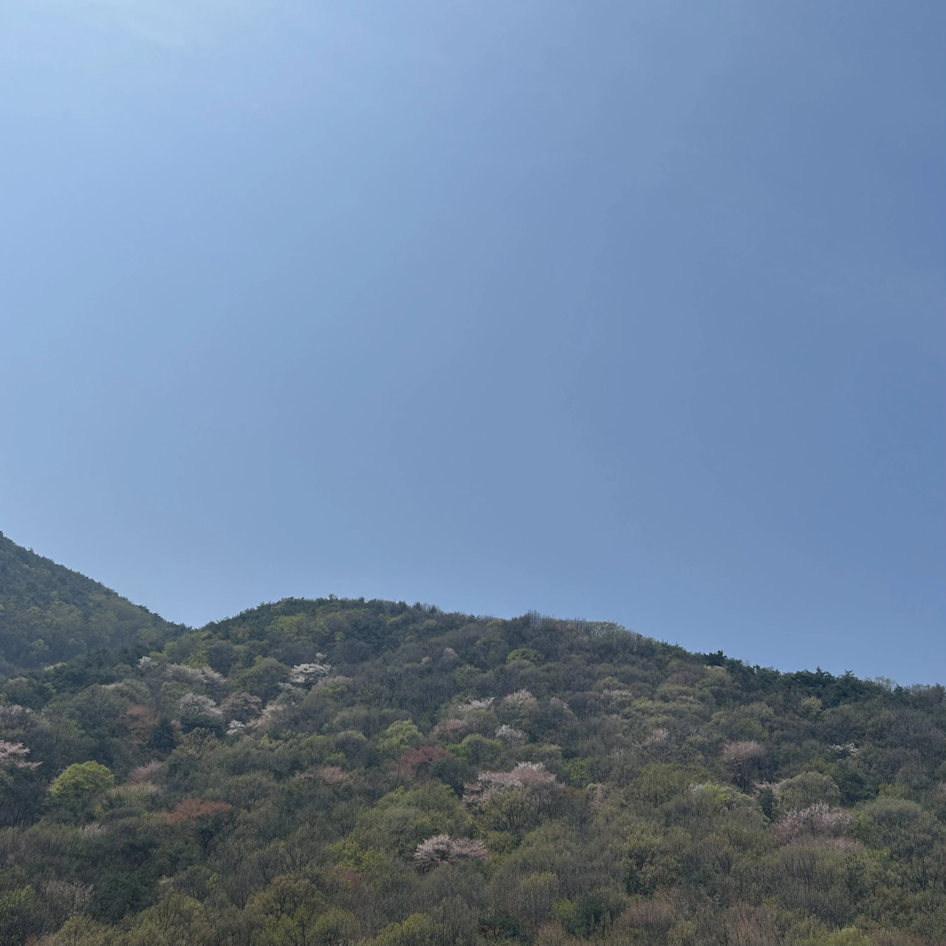 하루토