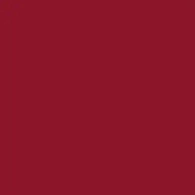 Profile image of トントン