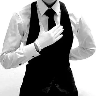 aurigacmakez의 Your Butler