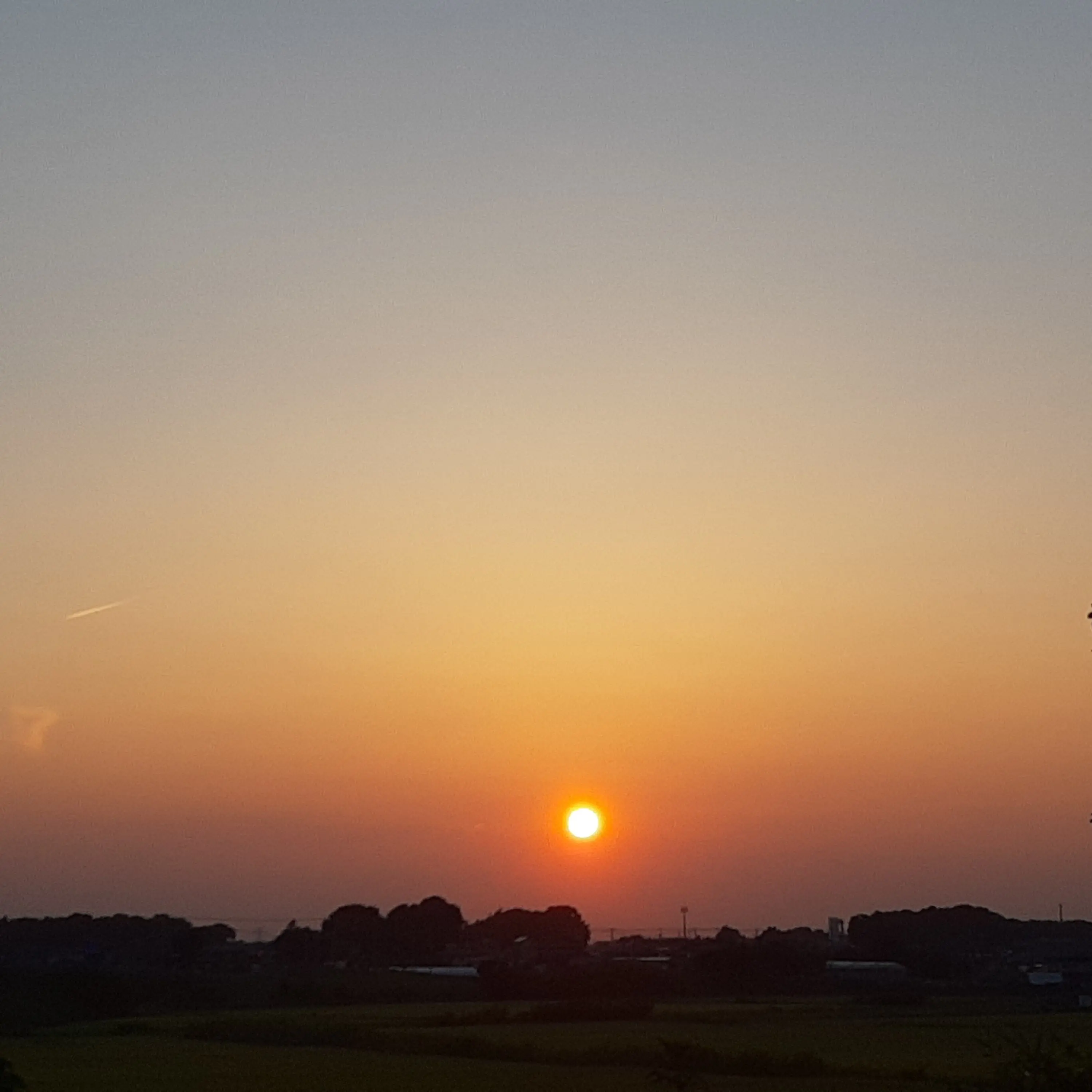 Kotyousansimai의 推しの子供に！
