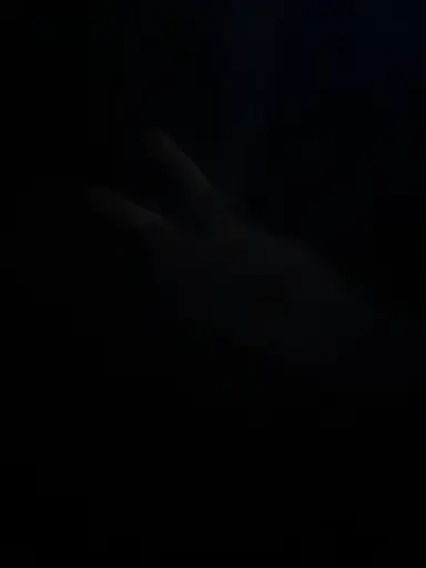 Profile image of 카인