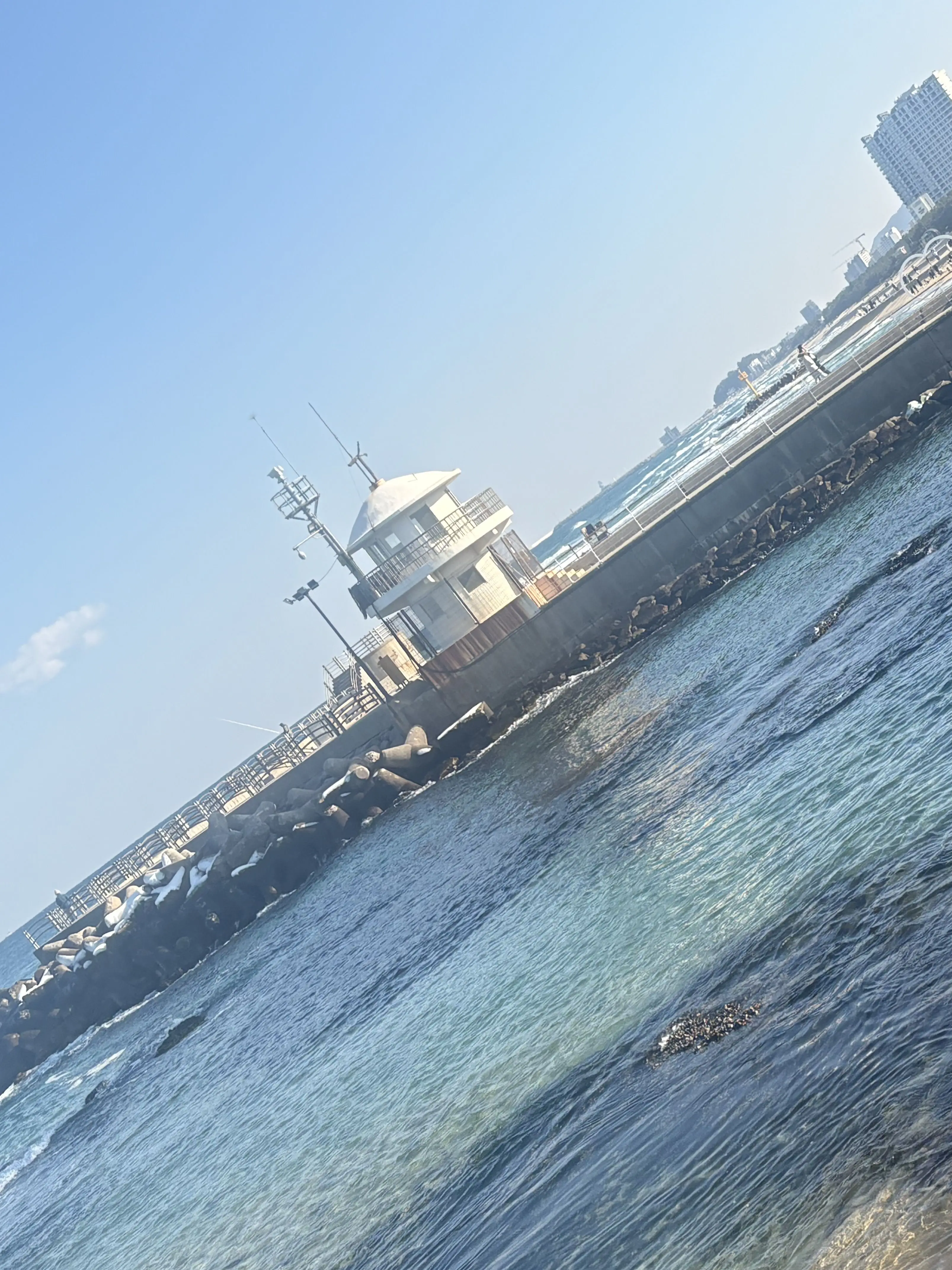 peach_juice의 현실 남매 카인