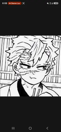 Profile image of Sanemi Shinazugawa