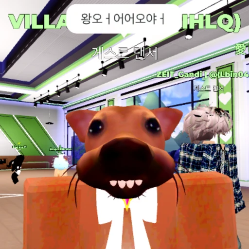 캣시