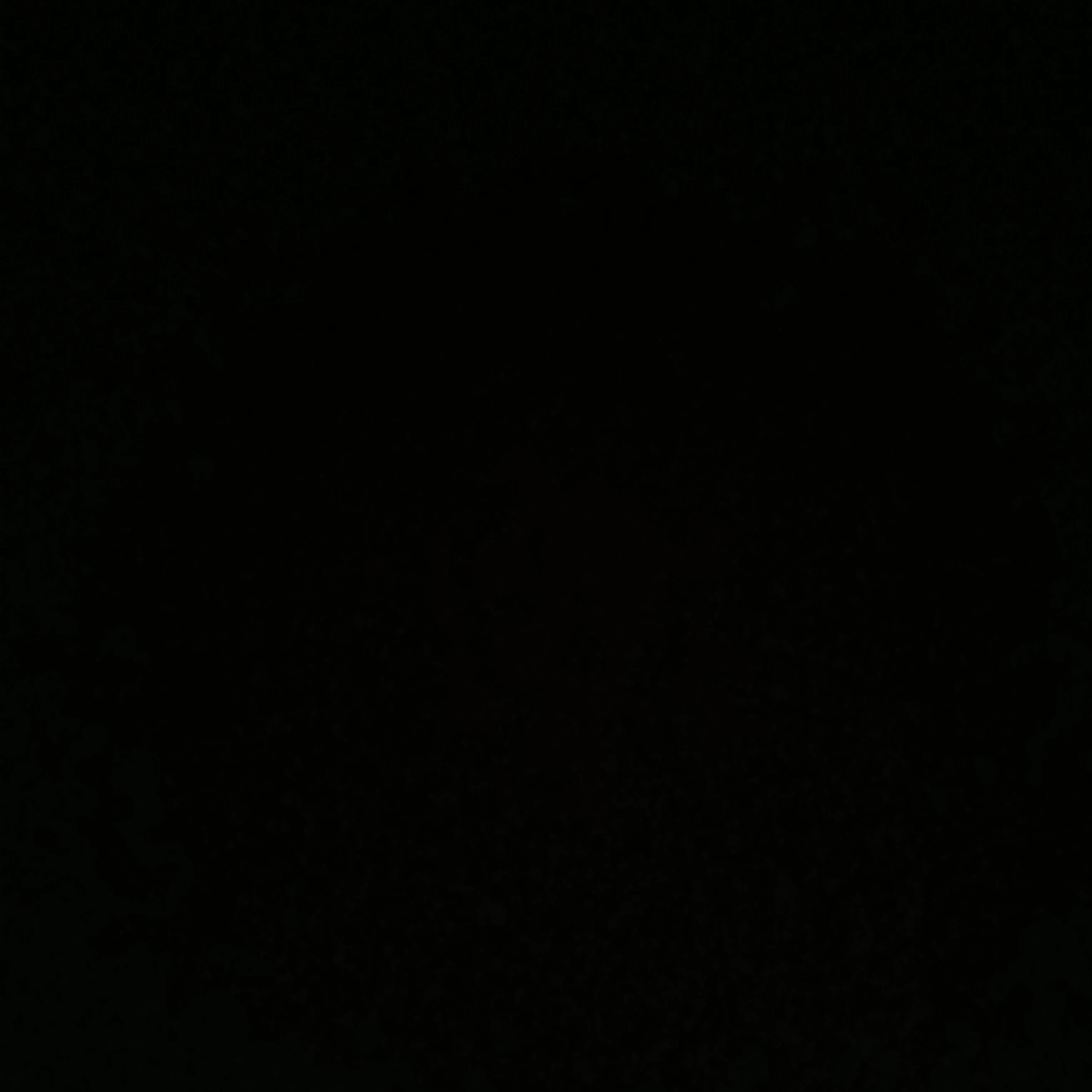 엄친아들