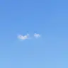 Profile image of 빈 페이지