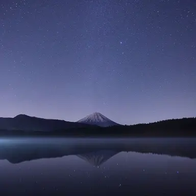 Profile image of 환이