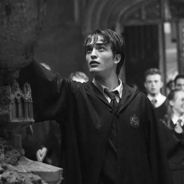 FunnyRamp3084의 Cedric Diggory