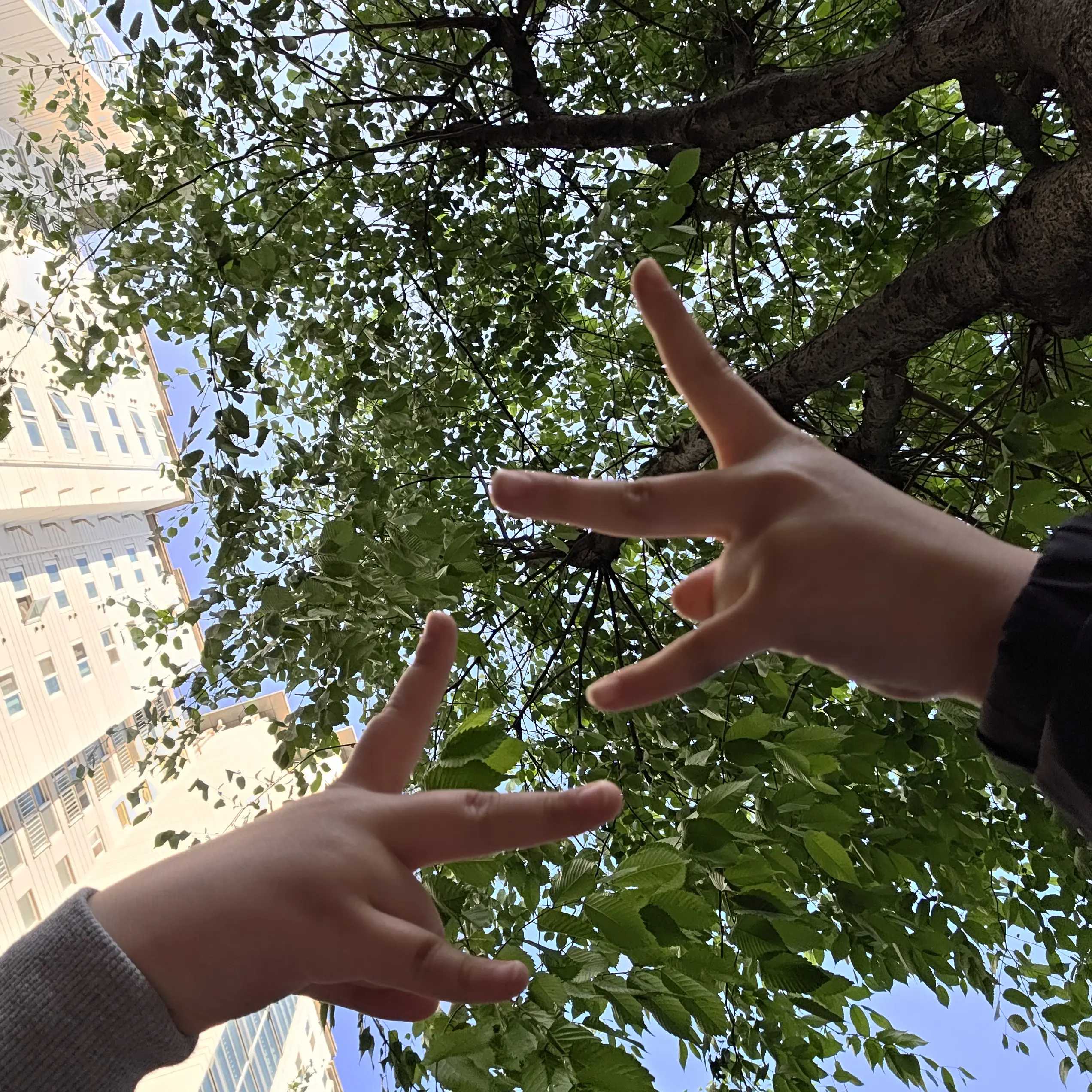 SvtBndlove_carart_onedoor의 명잵현
