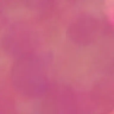 Profile image of ヴァンプル
