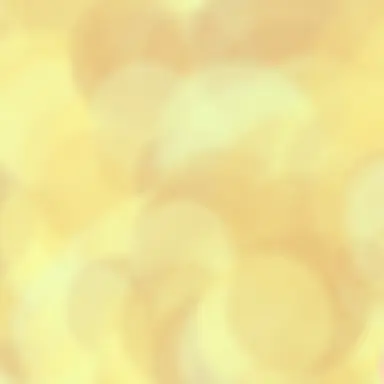 Profile image of エリク