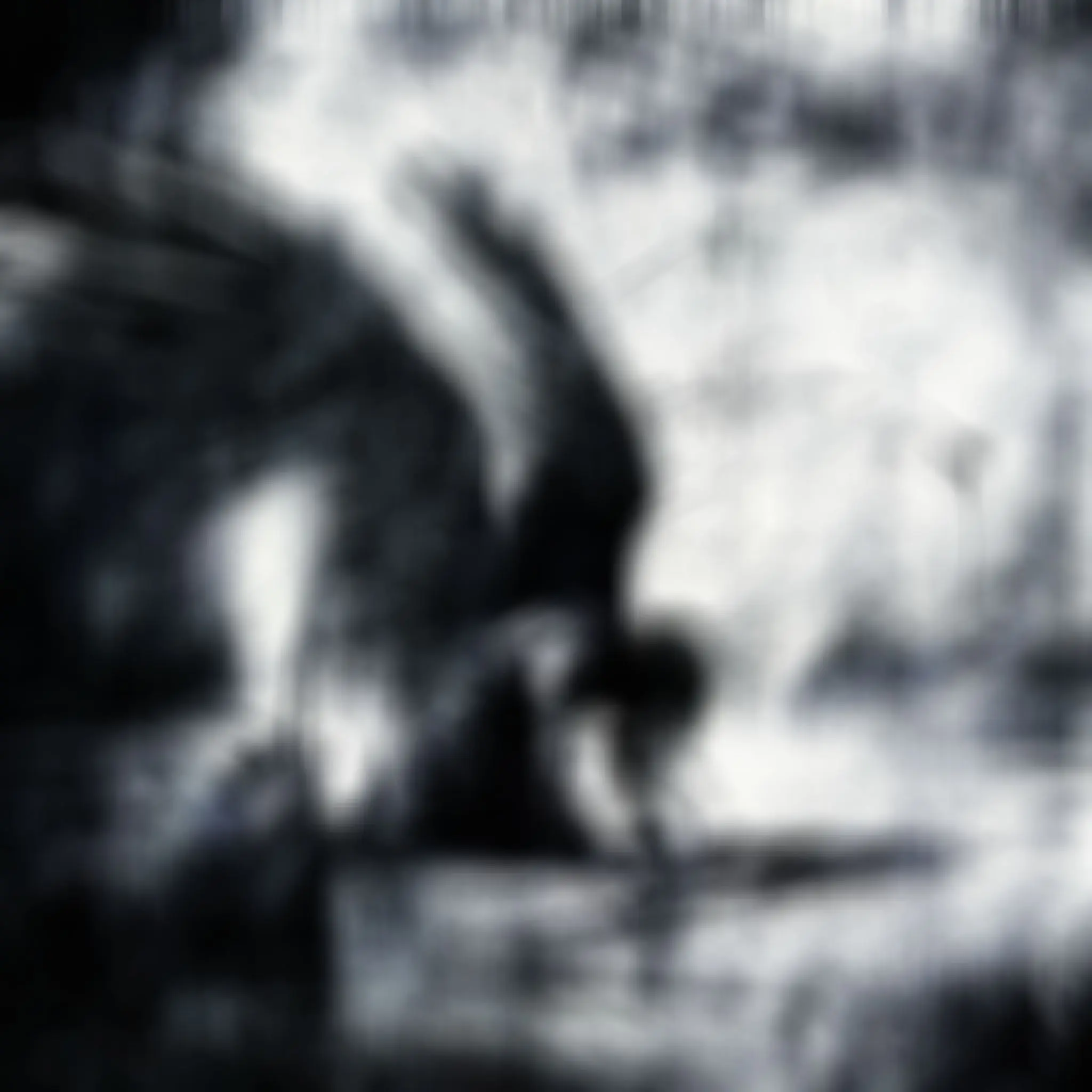 NOlR의 𝕀 𝕟 𝕂 ¿
