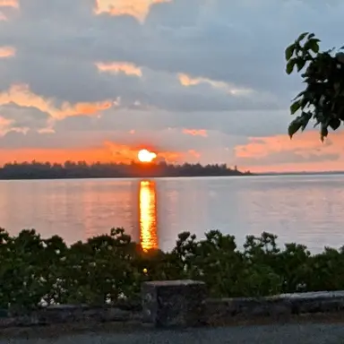 Profile image of ヴィラン連合