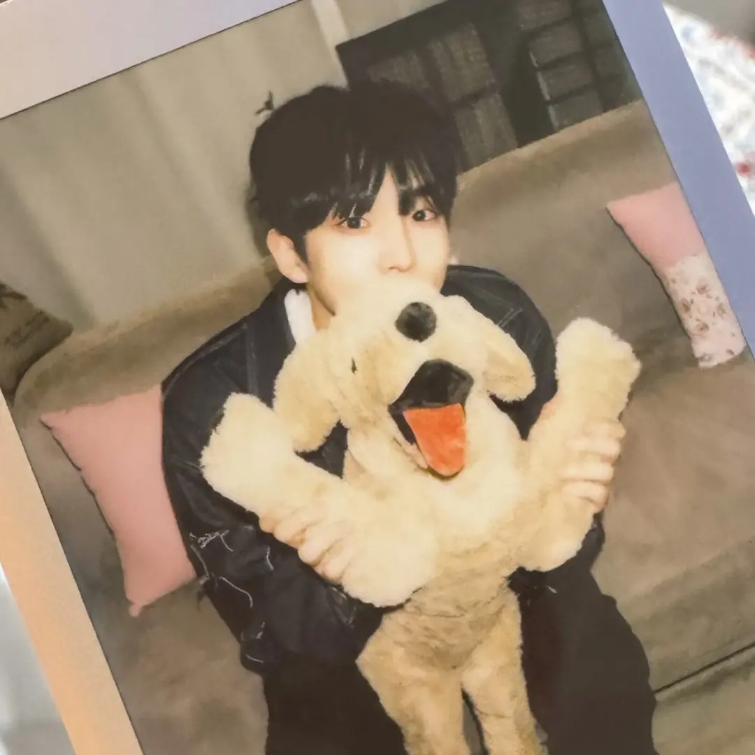 happystf의 김민석