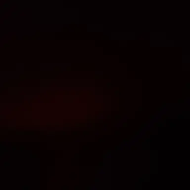 Profile image of 天竜ライト