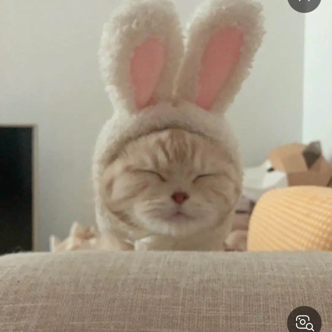 SnappyFart5079의 준브레드