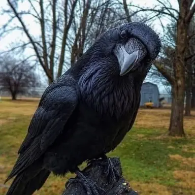 Profile image of Quill