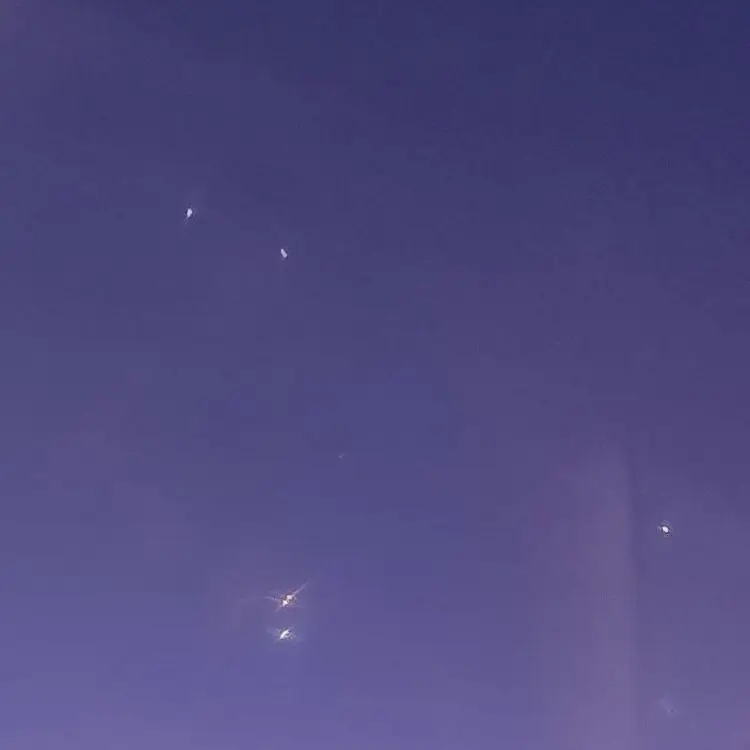 VoicedLady7236의 오토의 여친이 되어 보세요!