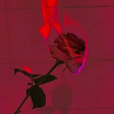 Profile image of Hayato