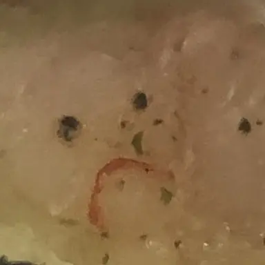 Profile image of 여우