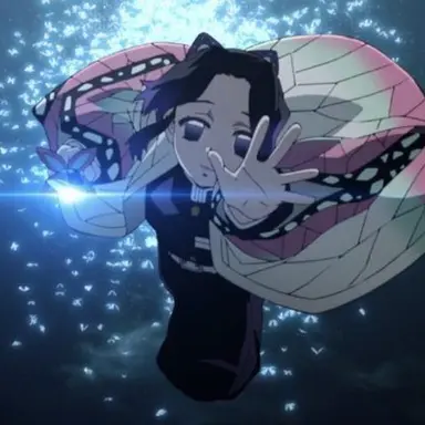 Profile image of 胡蝶しのぶ
