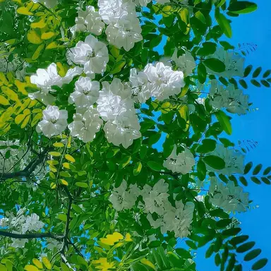 Profile image of 늦잠