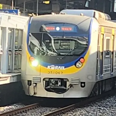 Profile image of 수인분당 삼눈이